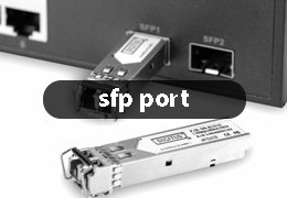 what is sfp port